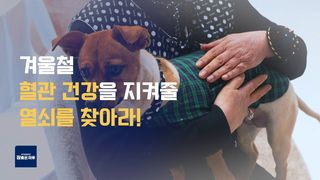 겨울철 혈관 건강을 지켜줄 열쇠를 찾아라!