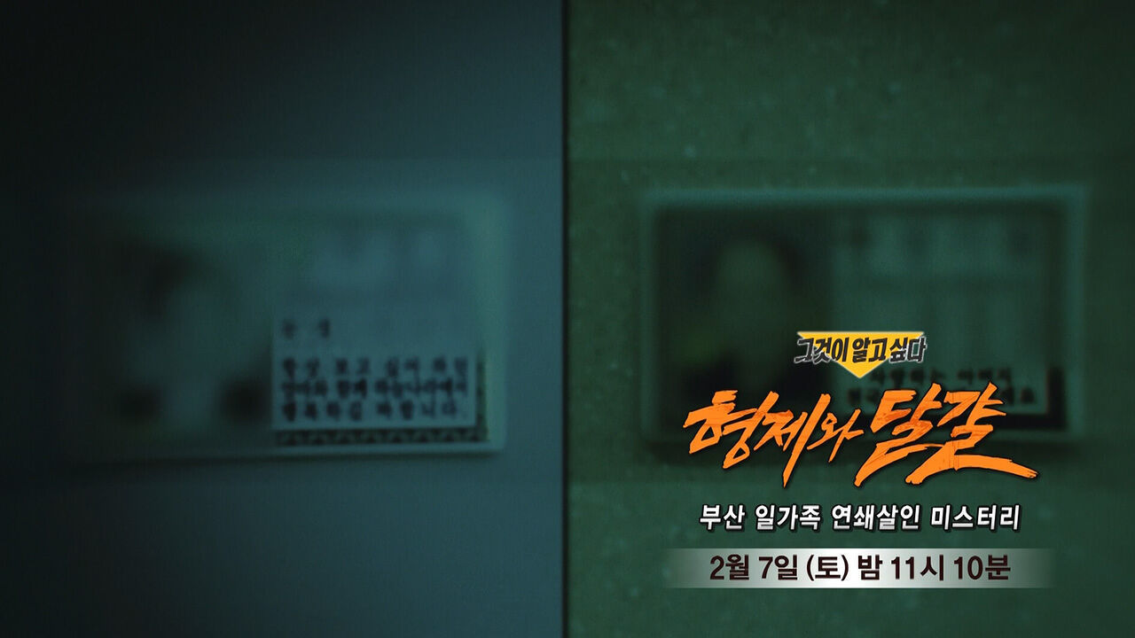 [2월 7일 예고] 형제와 달걀 - 부산 일가족 연쇄살인 미스터리 썸네일