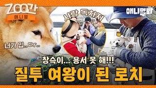 로치가 질투 그득~한 가나디가 된 사연의 주인공 '창슥이'
