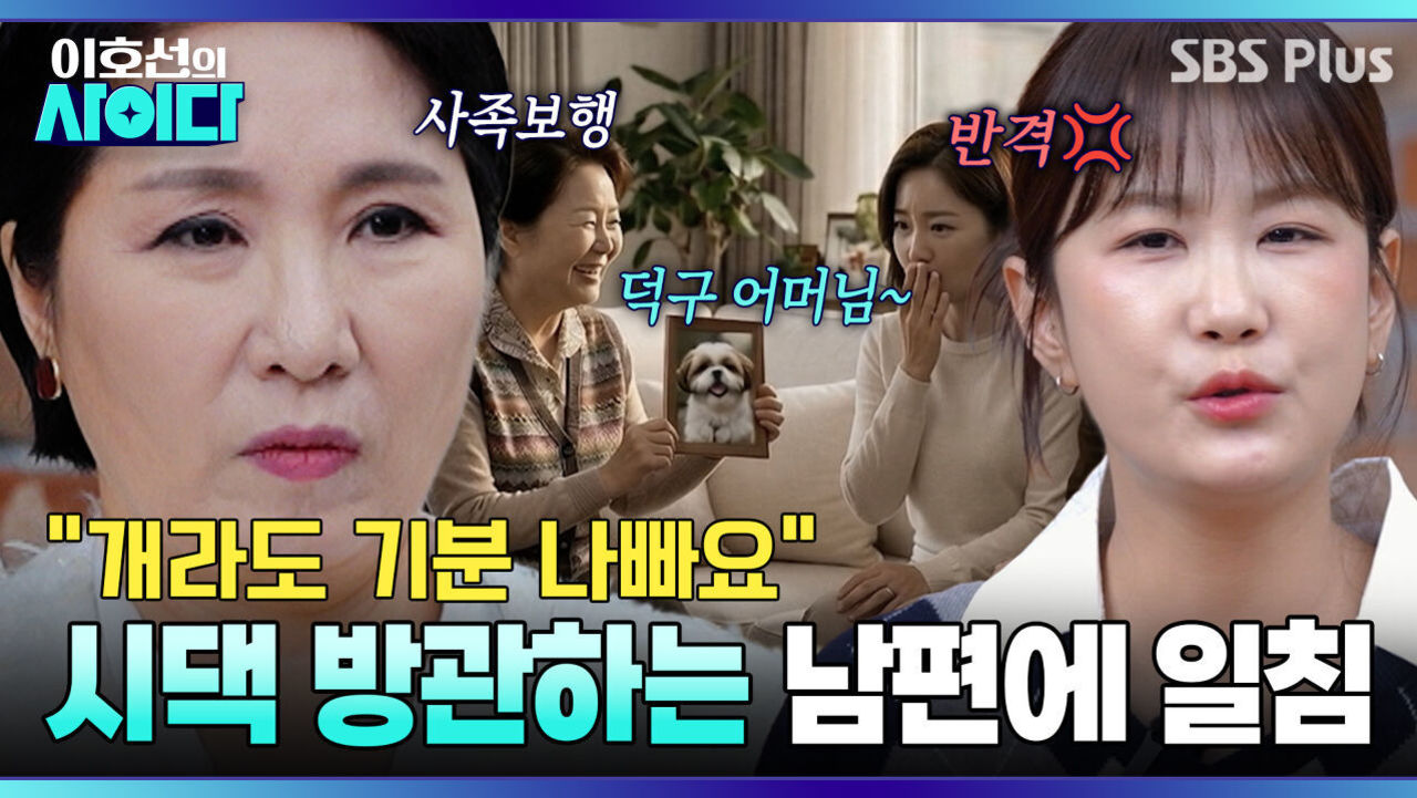 무지개다리 건넌 강아지 이름으로 날 부르는 시월드?! 역지사지 솔루션!! | 이호선의 사이다 | SBS PLUS | EP.11 썸네일