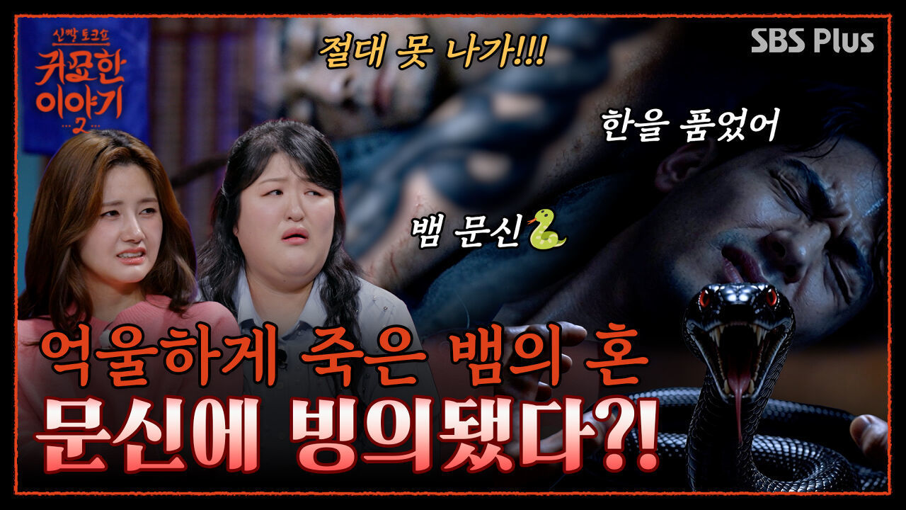 뱀 문신 이후 악몽에 시달려요ㅠ 재물운이 꽉 막힌 이유 | 신빨토크쇼 귀묘한 이야기2 EP.14 | SBS PLUS 썸네일