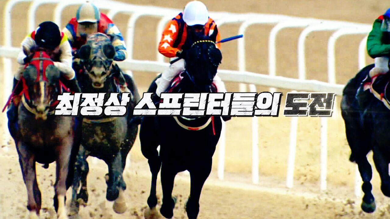 숨 막히는 70초의 승부, 스프린트 대상경주 [예고] 썸네일