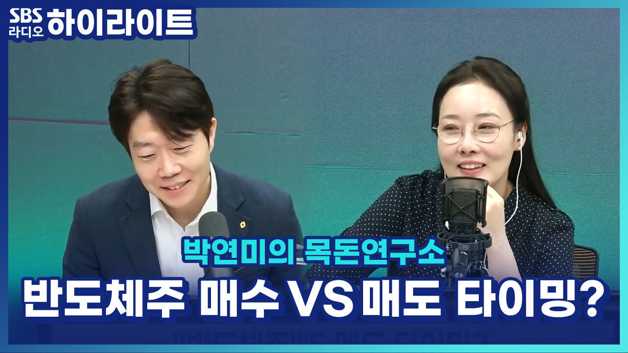 지금 들어가긴 늦었다?! 반도체주, 조정장 대비 매수 vs 매도 타이밍 정리! [박연미의 목돈연구소] 썸네일