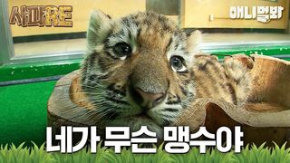 너무나 귀여운 꼬물이들 그러나 성체가 되면...ㄱ-