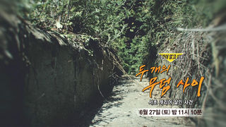 [6월 27일 예고] 두 개의 무덤 사이 - 서초 캐리어 살인 사건
