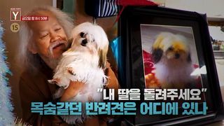 [7월 31일 예고] 낯선 자들의 방문 그들은 왜 문 앞을 서성이나 / "내 딸을 돌려주세요" 목숨같던 반려견은 어디에 있나
