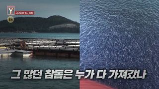 [8월 21일 예고] 그 많던 참돔은 누가 다 가져갔나