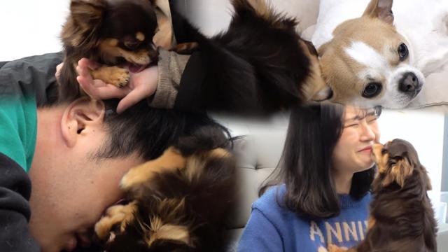 여기저기 끈적끈적~ 핥는 존박이의 '핥으시그널' 썸네일