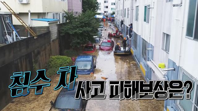 [9월 6일 예고] 맨 인 블랙박스 339회 예고 썸네일