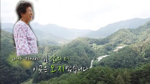 태풍에 흔들려도 내 사는 터는 지킨다! '어스름골 부부' 썸네일