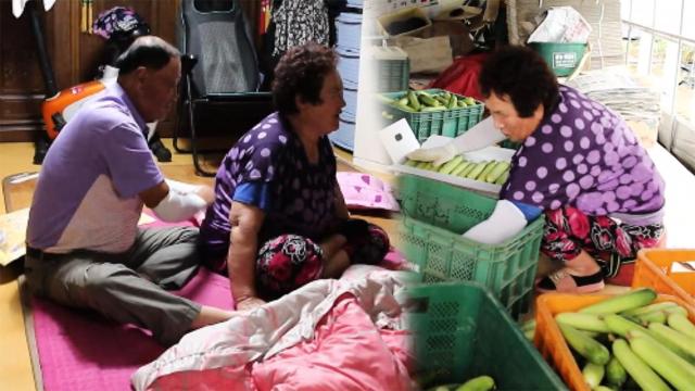 잠곡리 주민 장복순 할머니와 길병인 할아버지의 일상! 썸네일