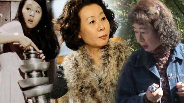 '세계가 주목하는 배우' 윤여정, 56년 연기 인생! 썸네일