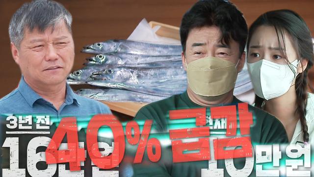 백종원×최예빈, 소비 급감에 고통받는 갈치 어가에 안타까운 한숨 썸네일