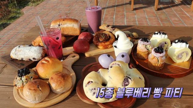블루베리 빵 종류만 15가지! 블루베리에 진심인 빵집! 썸네일