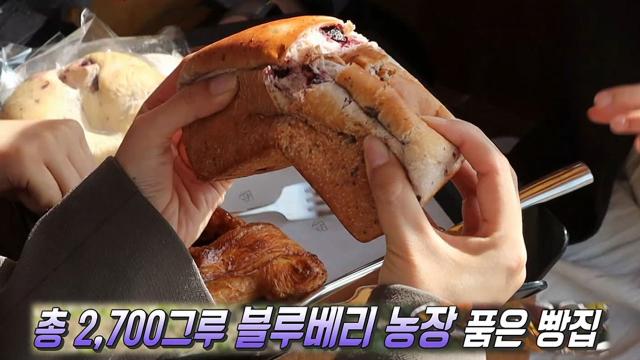 무려 '2700그루' 블루베리 나무로 만드는 유기농 빵! 썸네일