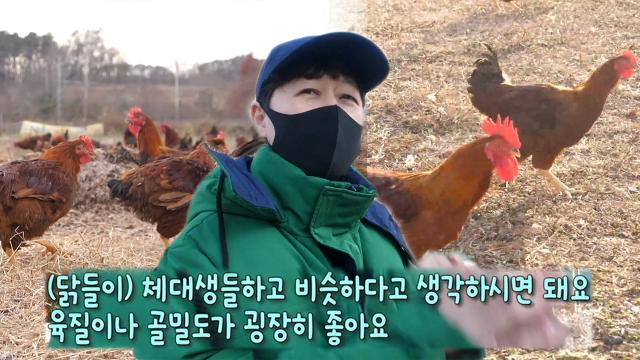 충남 아산에서 직송! 육질 우등생 토종닭★ 썸네일