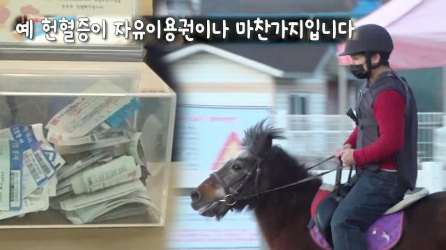 헌혈증이 자유이용권! 원 데이 힐링 '승마' 썸네일