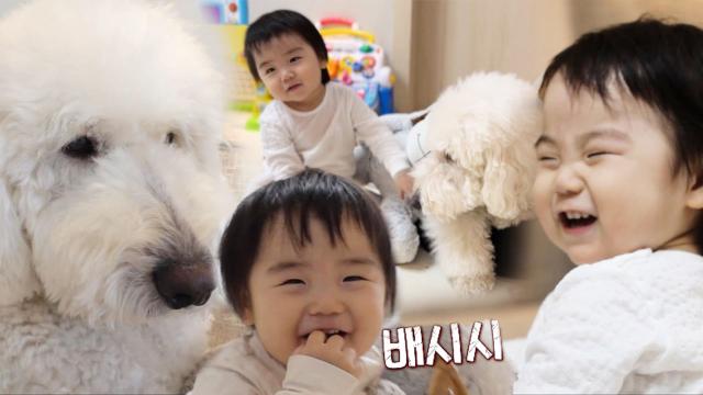 생후 17개월 로운이×강아지 로라, 세상 둘도 없는 우정♥ 썸네일