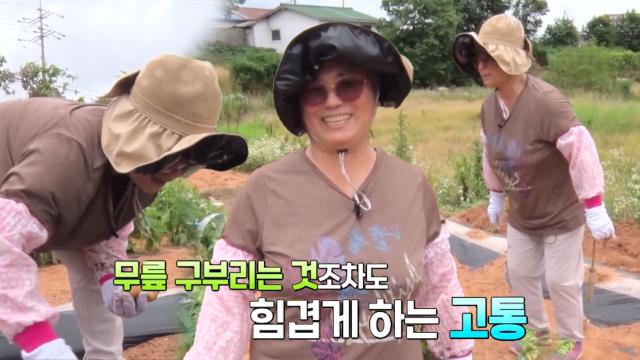 '자급자족의 여왕' 김효순씨, 물가 걱정 대신 관절 걱정? (내몸주치의) 썸네일