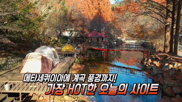 몸도 마음도 든든! 이국적 풍경의 충남 금산군 캠핑★ 썸네일