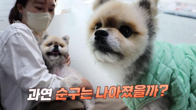 이제 아프지 말자! 순구의 돌발 마비의 이유는? 썸네일