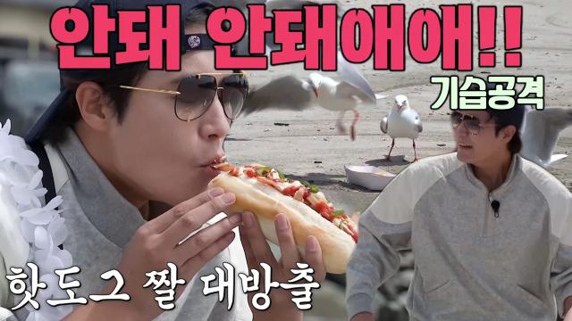 “안돼” 차서원, 새들에게 빼앗긴 핫도그 지켜보며 좌절 썸네일
