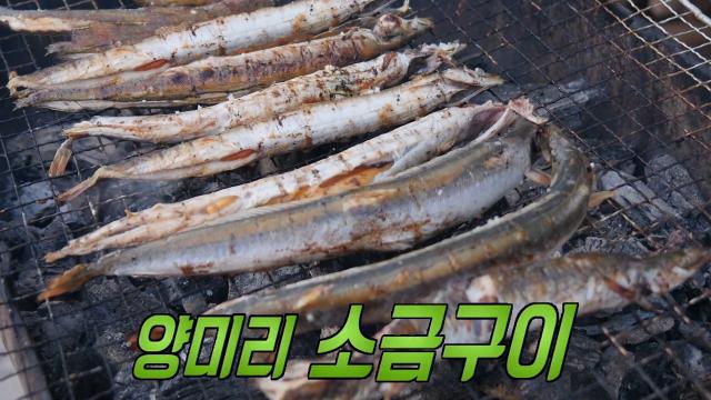 '양미리' 동해의 겨울 별미 등장★ 썸네일