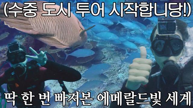 호주의 아름다운 '수중 도시 투어' 체험에 나선 찐친 멤버들! 썸네일