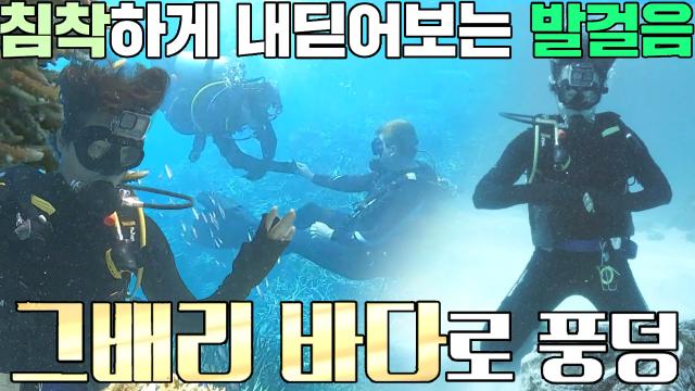 차서원, 무서움 이겨내고 떠나는 바닷속 여행! 썸네일