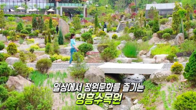 일상에서 즐기는 도심형 생태 수목원! 영흥수목원★ 썸네일