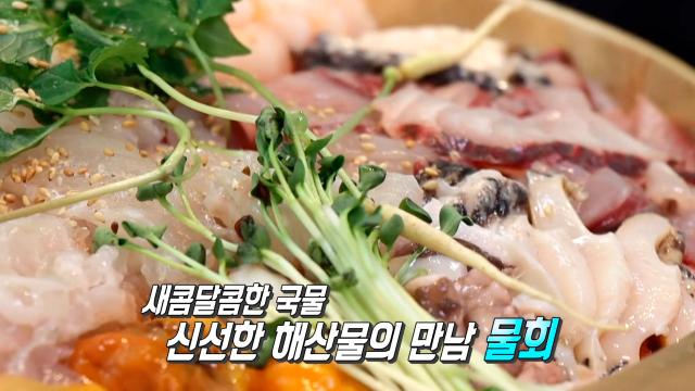 무더위에 잃었던 입맛 소환! 새콤달콤 물회★ 썸네일