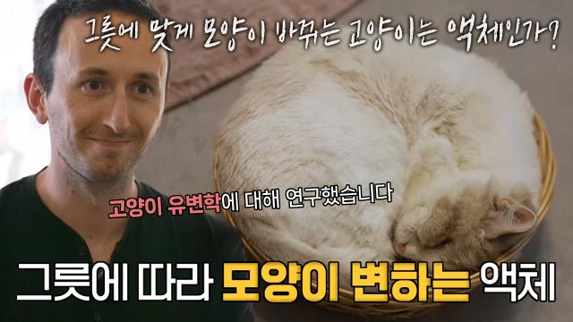 '고양이는 액체일 수 있을까' 이그노벨식 접근으로 연구한 고양이 유변학 썸네일