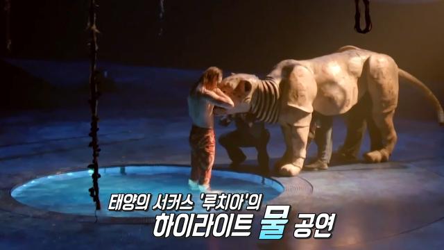 1,450개 도시×누적관객 3억 5천만 '태양의 서커스' 썸네일
