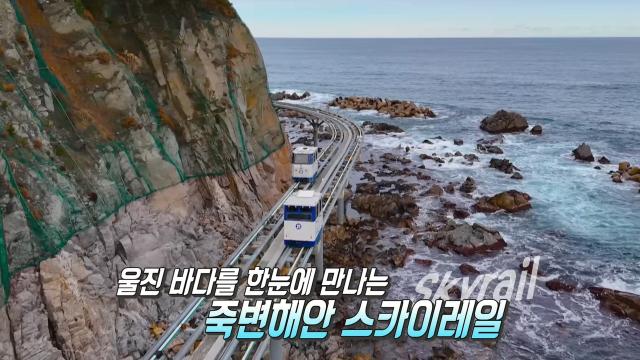 '죽변해안 스카이레일' 눈앞에 펼쳐지는 동해의 아름다움! 썸네일
