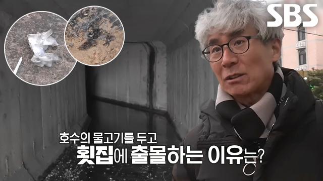물에 사는 수달, 도심 횟집에 출몰하는 이유 썸네일