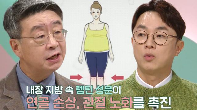 관절염 막기 위한 방법, '내장 지방' 관리 (더건강한스쿨) 썸네일