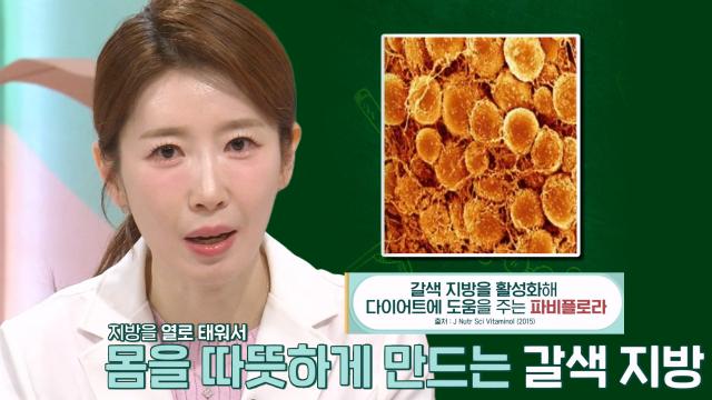 착한 지방 깨워 체중 감량 돕는 '파비플로라' (더건강한스쿨) 썸네일