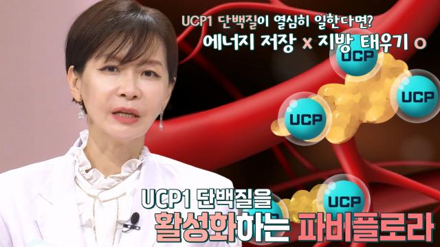 UCP1 단백질 활성화시켜 당 독소 녹이는 ‘파비플로라’ (뷰티풀라이프)