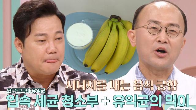 구강 건강 지켜주는 음식 궁합 ‘요구르트·바나나’ (닥터필생기)