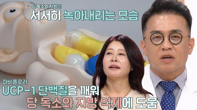 당 독소·지방 제거 돕는 '파비플로라'의 효능 (더건강한스쿨) 썸네일