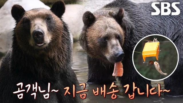 더위에 지친 ‘불곰’ 위한 특급 보양식 배달★