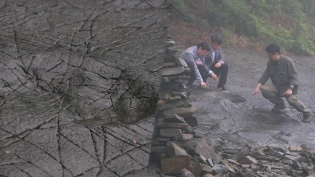 경상남도 고성 가인리에 남아있는 '공룡 발자국'의 흔적 썸네일