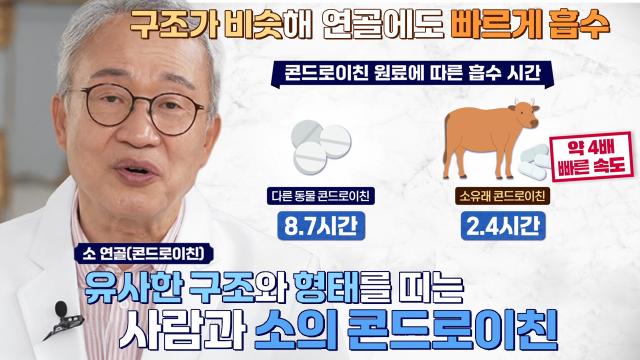 뼈 보호에 도움 되는 귀한 원료 '소유래 콘드로이친'★ 썸네일