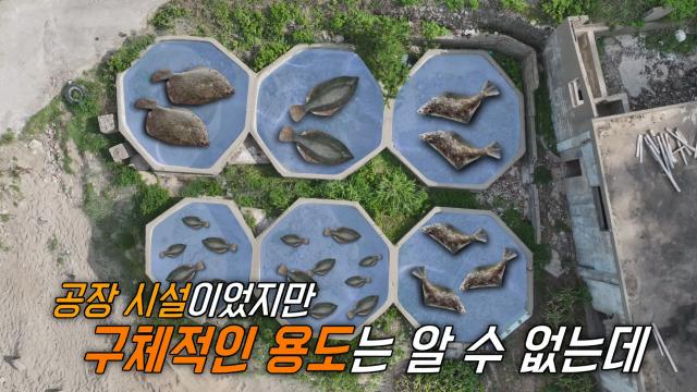 바닷가 ‘팔각 콘크리트’ 벌집 구조물의 정체! 
