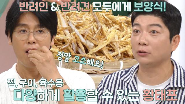 부드러운 육질 일품인 바다의 보양식 ‘황태×미역귀’↗ (똑똑똑!고민상담소)
