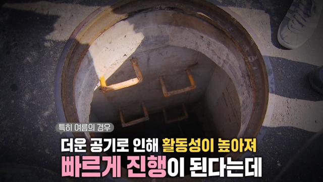 끊이지 않고 반복되는 ‘맨홀 질식 사고’ 문제!