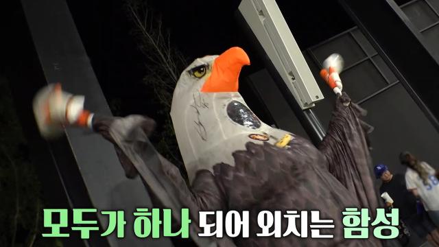 폭염보다 뜨거운 야구 열기! 야구 경기 더 즐기는 방법♨ 