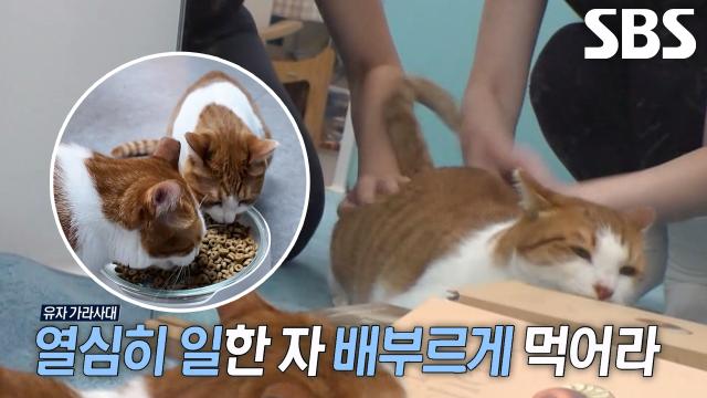 신입 ‘살구’의 필라테스 센터 생활기★