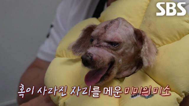 혹 제거 후 웃는 미소로 재회한 미미×할아버지♥