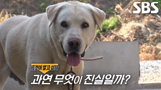 '꼬물이들 친부 논란' 다복이, 유전자 검사 진행!